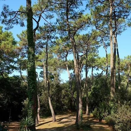 Camping Le Bois D'amour