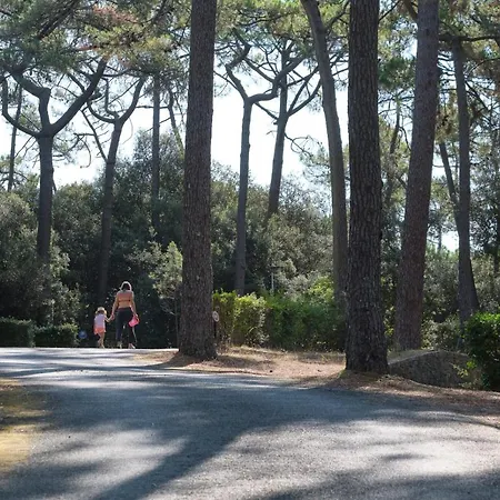 Camping Le Bois D'amour Campsite *
