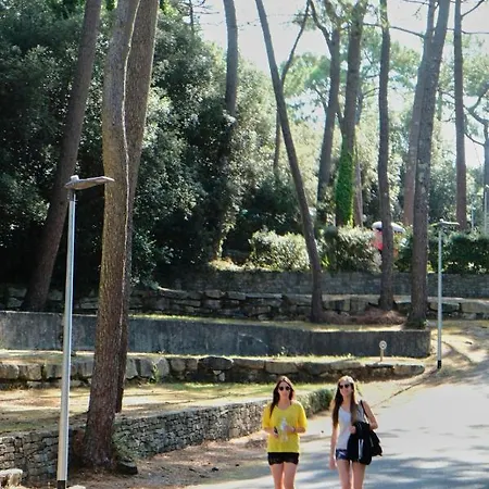 Campsite Camping Le Bois D'amour