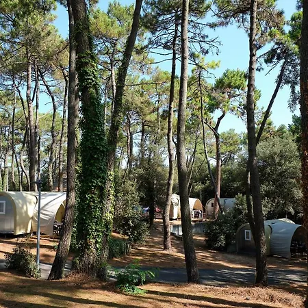 Campsite Camping Le Bois D'amour *