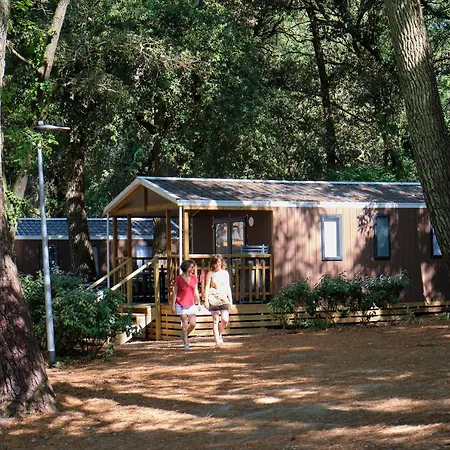 Campsite Camping Le Bois D'amour La Baule-Escoublac