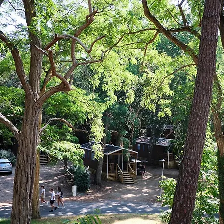Camping Le Bois D'amour Campsite *